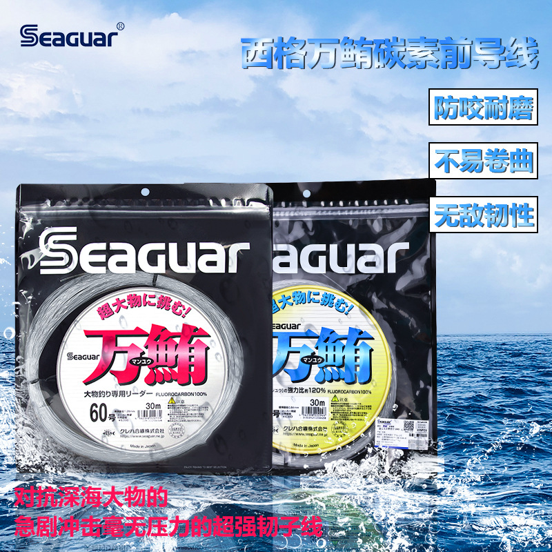 Originele Seaguar 100% Fluoroc - Fluorocarbon Line recensie en prijs