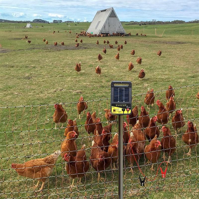 2 Stuks Tuinen Solar Hek Oplad - Tippet Line recensie en prijs
